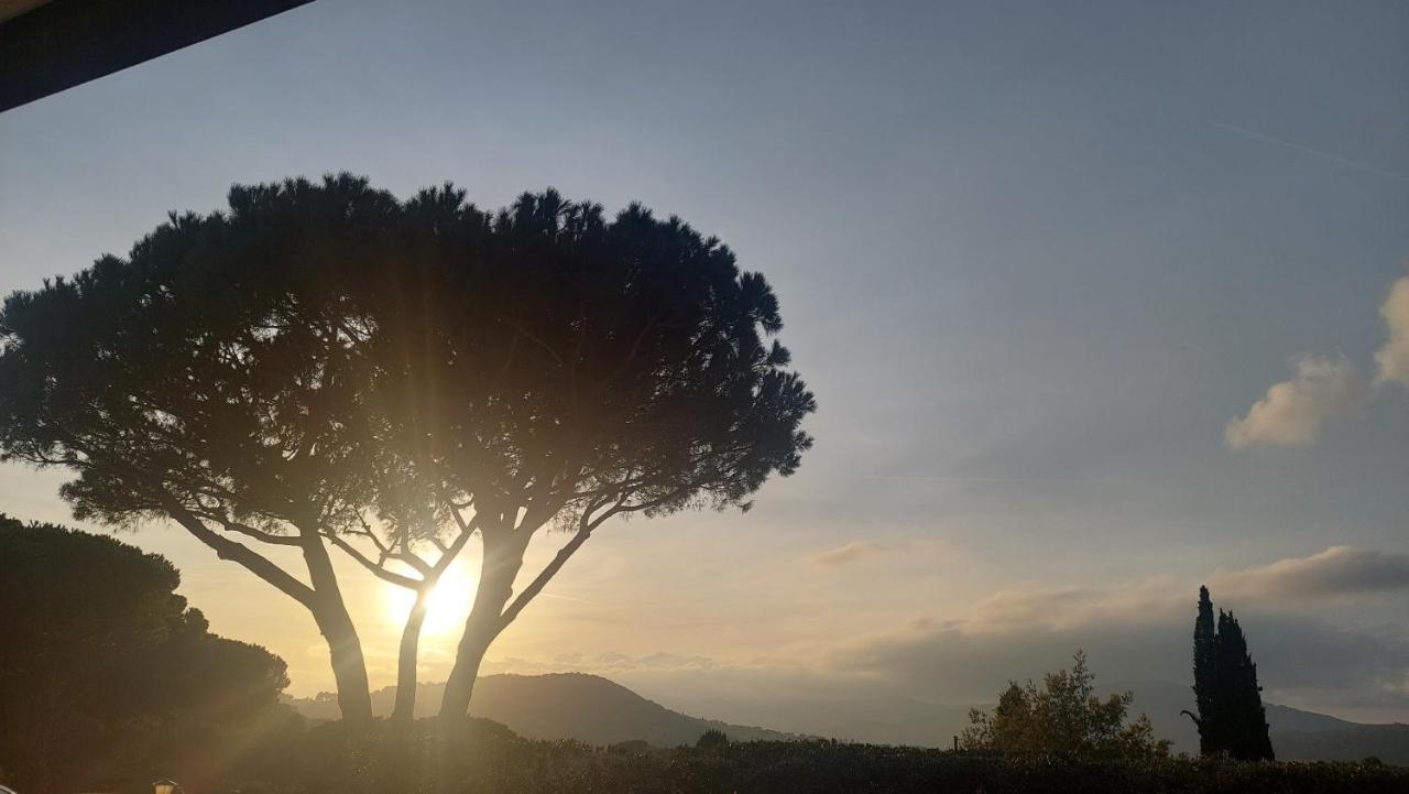 Podere Grandolfi Bed and breakfast