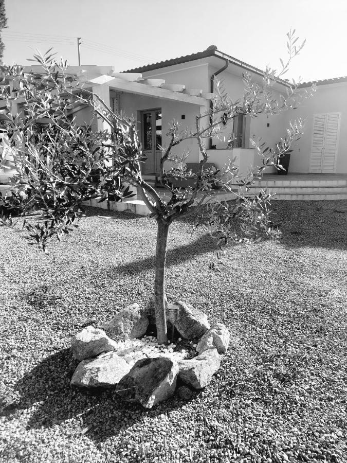 Frühstückspension Podere Grandolfi Capoliveri (Isola d'Elba)