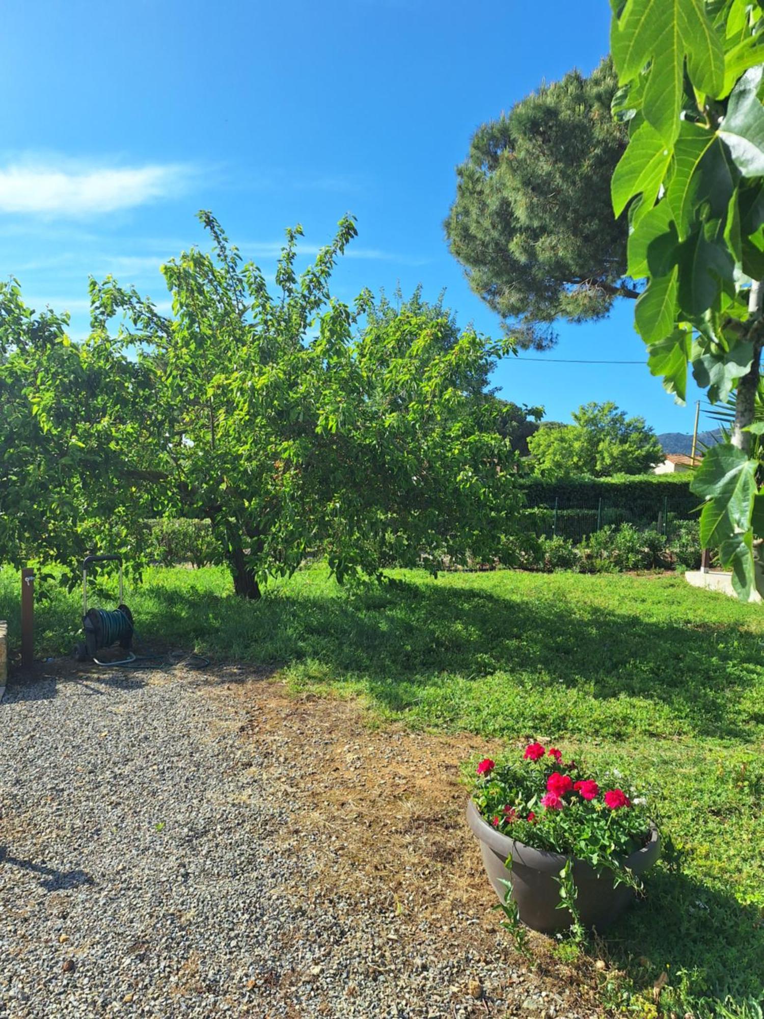 Podere Grandolfi Frühstückspension Capoliveri (Isola d'Elba)